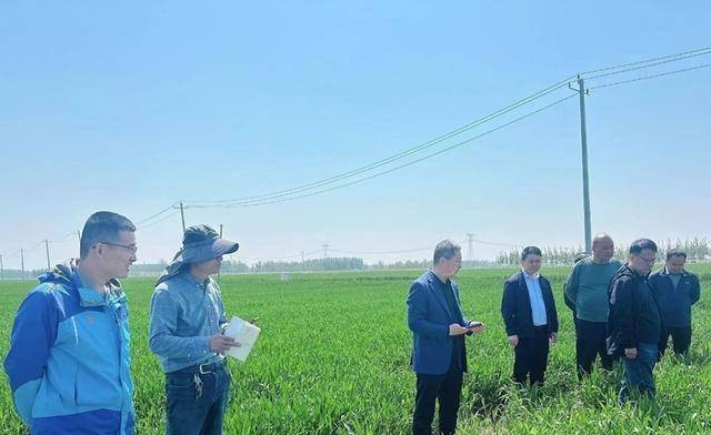 泰安市农业泛亚电竞官网科学院杂粮团队赴东平县开展大豆产业调研活动(图1)