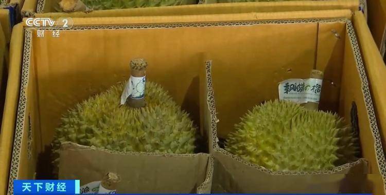 热带佳果来袭：市场榴莲充足实惠美味引期待开云体育入口(图2)