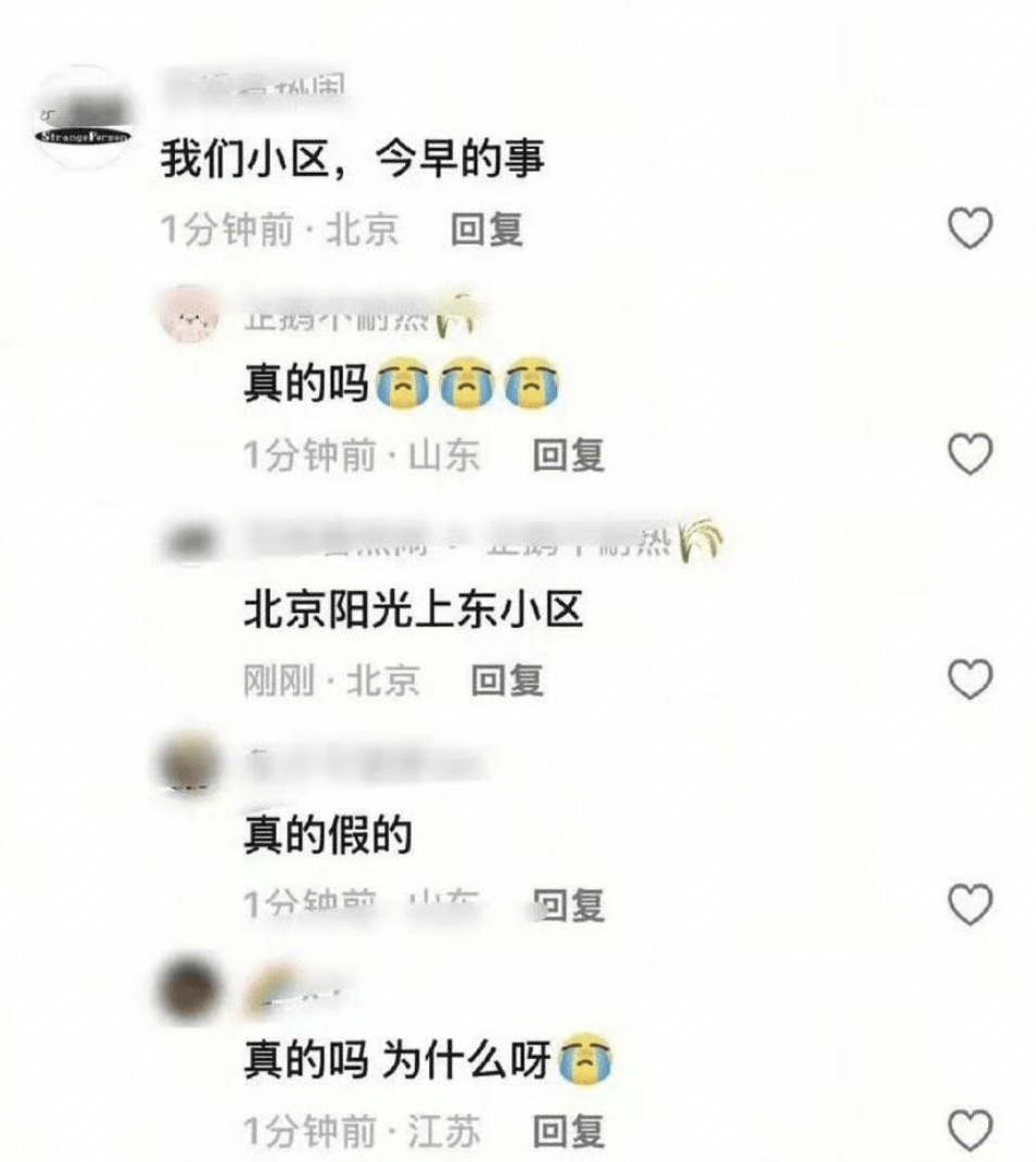 知名艺人于朦胧被传在北京一小区坠楼去世，物业证实凌晨有人坠楼，事发现场图疑曝光
