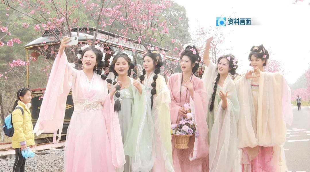 00后不赶场、银发族避高峰！昆明凭气候风光圈粉两代人