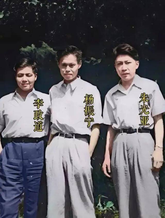 原创             双星陨落！最好的兄弟反目成仇，李政道直言这是中华民族一大悲剧