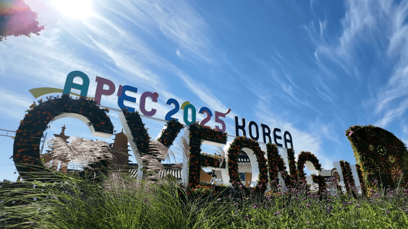 记者观察|在APEC会议举办地触摸亚太合作发展新脉动