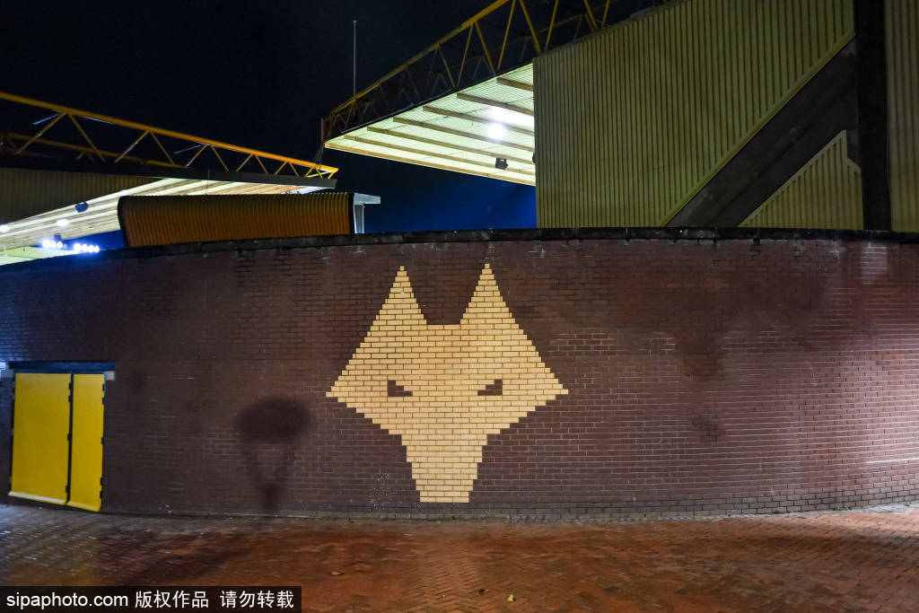 重返狼队？特劳雷或成救主！英超副班长向昔日功臣伸出橄榄枝