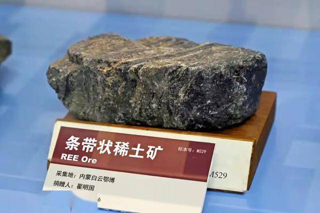 高市早苗抗议中国制裁！邀请12国共同反华？美日不想买中国稀土？