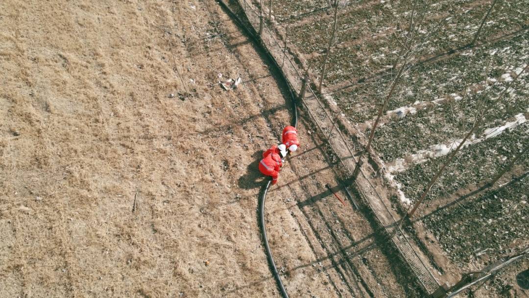 我国首个，试验成功！每公里节约超百万元