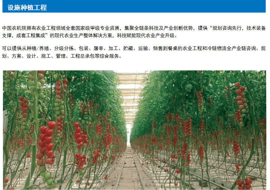 2025年最佳加密货币赌场排行榜 USD