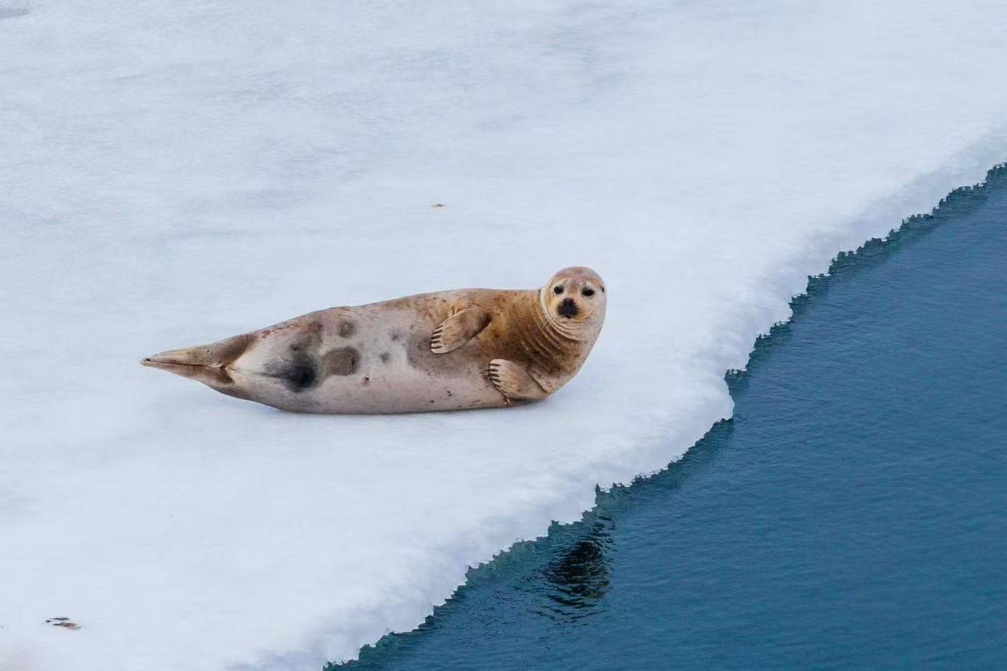 【OKX 哈希游戏】区块链加密游戏玩法教