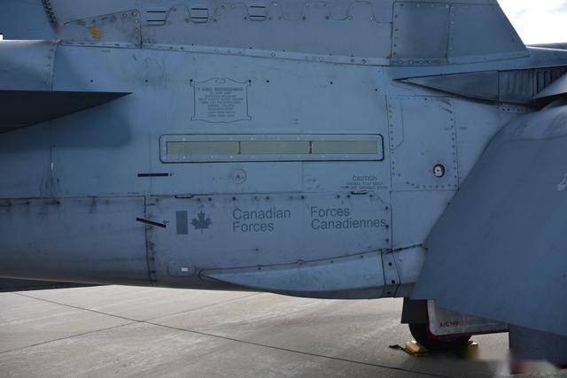 从弃子到全能王：麦道F/A-18“大黄蜂”的逆袭之路