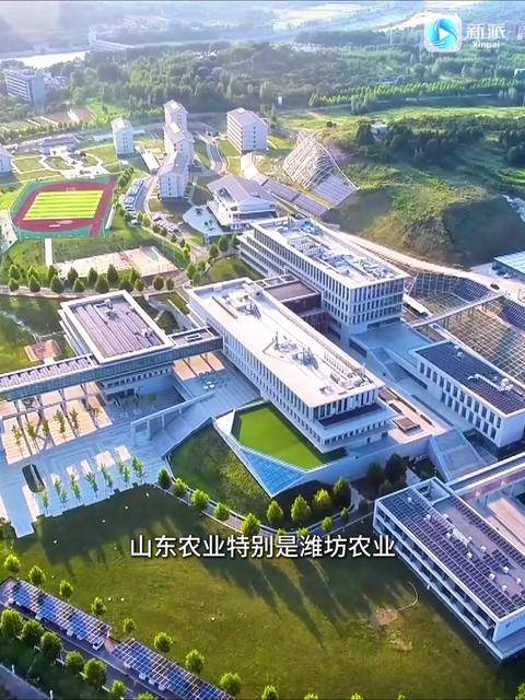 农业农村部原经管司司长 中国农业风险管理研究会会长 张红宇：中国农业在全球占有一席之地 潍坊要做样板示范