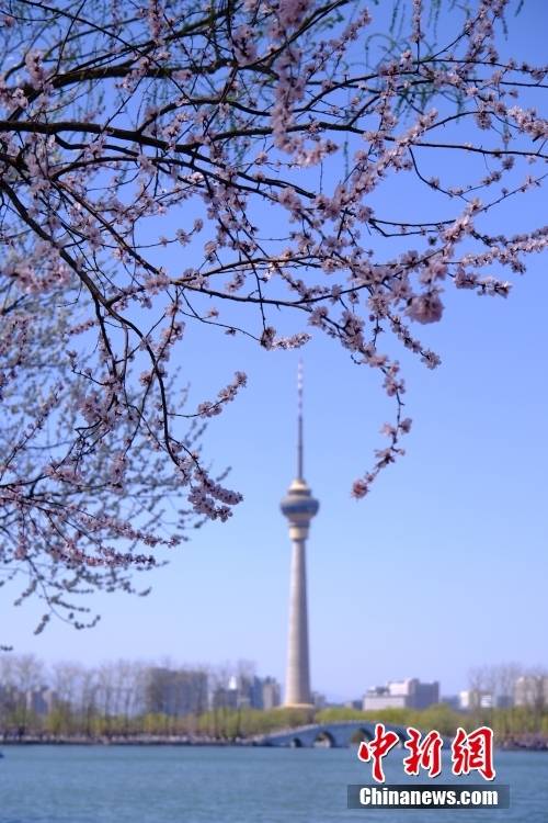 北京玉渊潭公园春花绽放引游人赏花观景