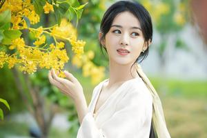 山东东平千万高标准农田被指造假：喷水管插土堆