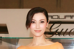 博士前董事长被逮捕：ST帕瓦“造假上市”的质疑却被忽视