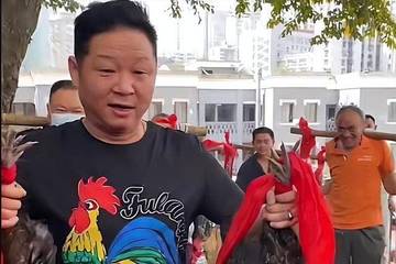 影视“三德子”饰演者赵亮卖鸡引争议：“德子土”商标擦边？