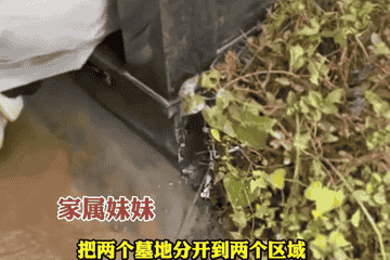 姐弟购买相邻墓位、弟弟下葬时家人发现不相邻 墓园承认搞错