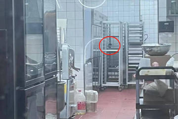 网红面包店“国王的面包师”被曝后厨老鼠爬窜：负责人致歉