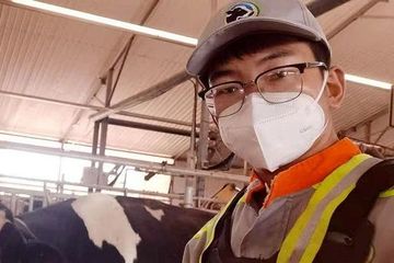 武威优然牧业“幽灵报告”风波未平：母公司激进扩张埋隐忧