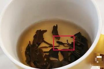 奈雪的茶被曝喝出青蛙？当事人：太恶心了，差点