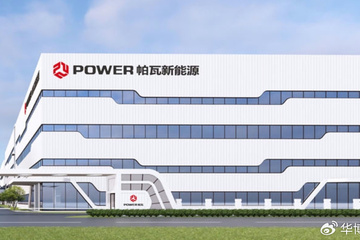 博士生导师也疯狂：ST帕瓦实控人被曝占用公司资金1.9亿元