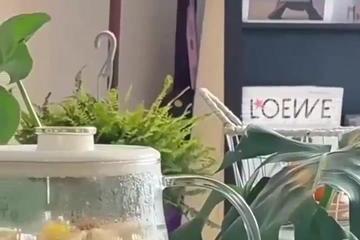 小熊电器养生壶爆炸致1岁孩子大面积烫伤 回应