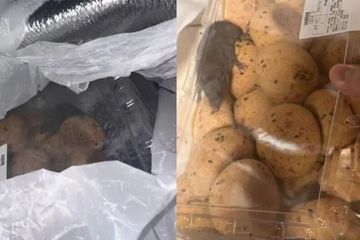 山姆麻薯盒内惊现活老鼠？当事人：打开那一刻，