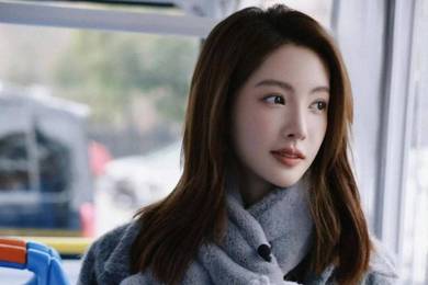 "泰瑞制药董事长被刑拘"