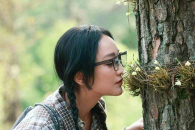 “祥源系”理财产品审计报告被指违规：还有多份