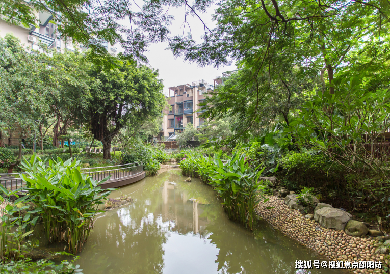 項目內部打造了一條沿著臺地蜿蜒的溪流,該水系為市面罕見的活水溪流