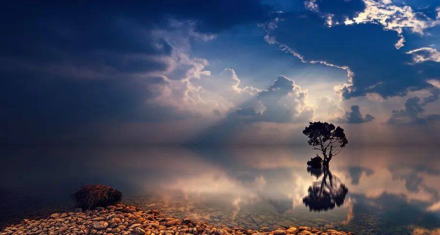 家电经销商今年转型求生还有戏吗？-家电圈官网