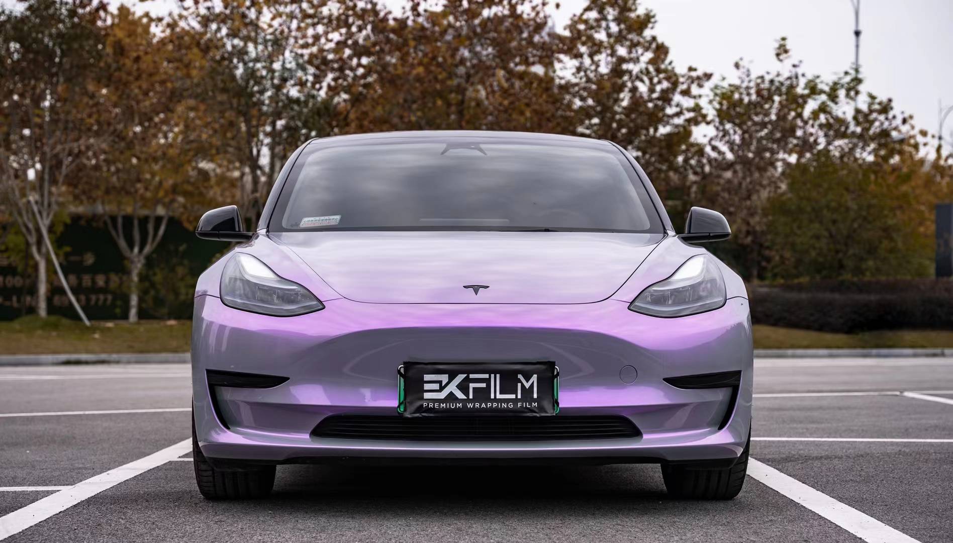 特斯拉model3-ek改色膜梦幻灰魅紫,藏不住的梦幻少女心_搜狐汽车_搜狐