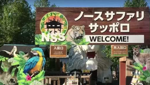 這個奇葩動物園,不怕死的人可以去體驗一下,和獅子零距離接觸!