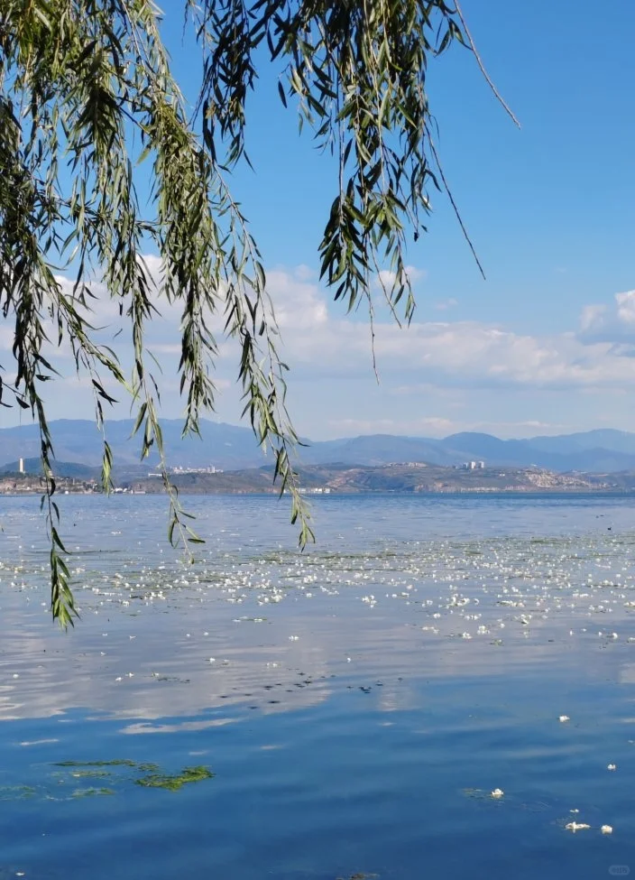 這4個目的地,簡直是暖冬天堂!_湛江_萬寧_洱海