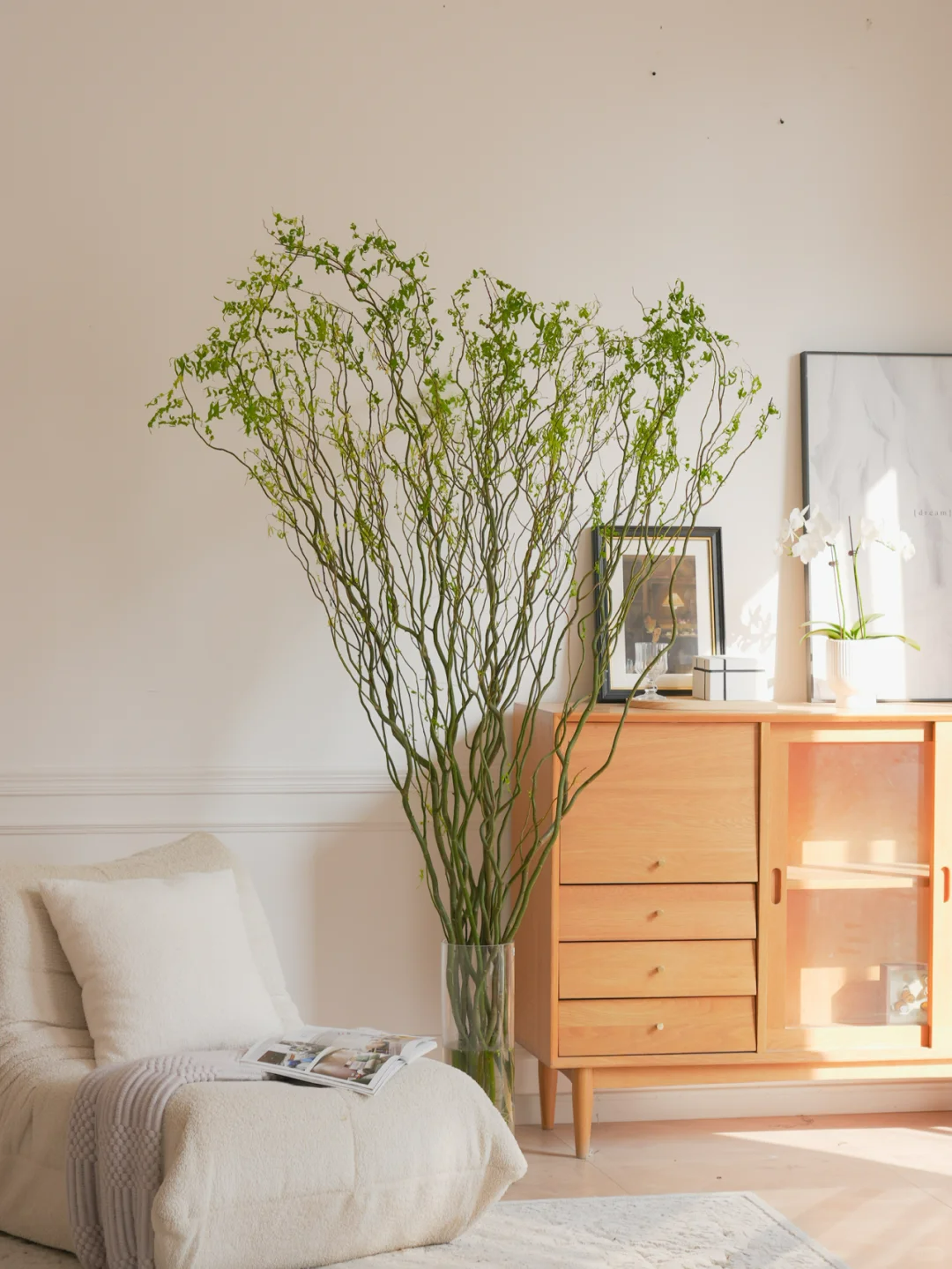 每周识花 | 龙年就要插龙柳,迎接新的好运气!_插花_线条_植物