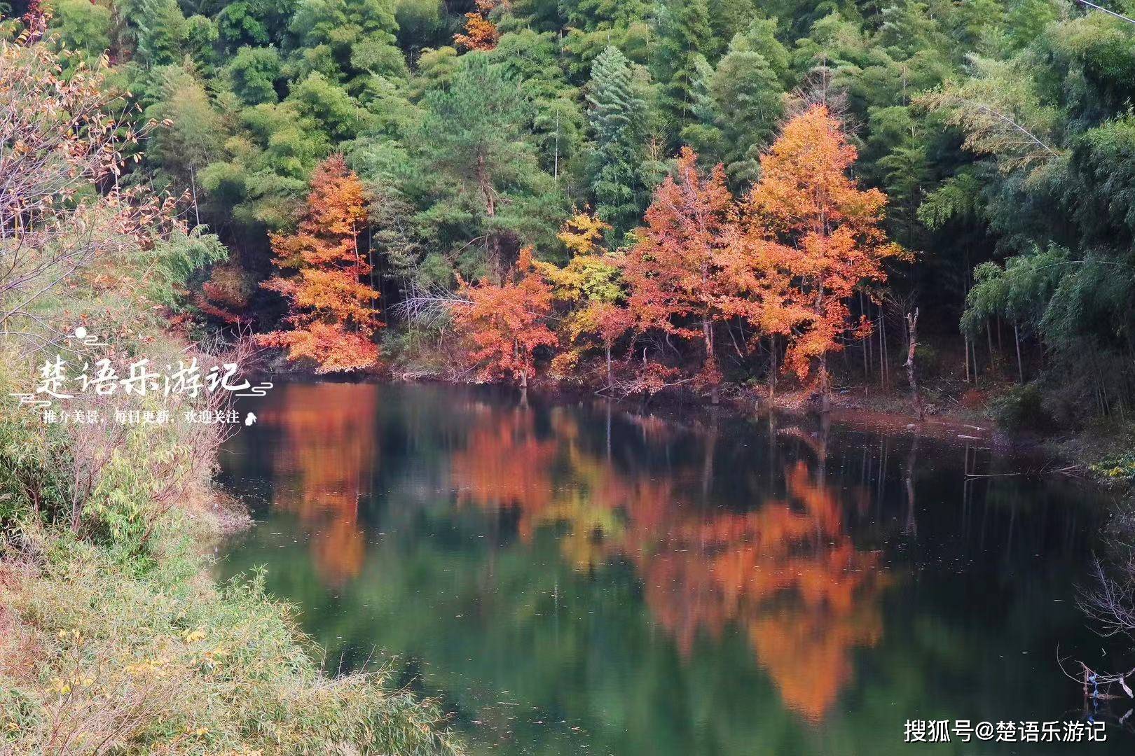 浙江餘姚這個古村落,群山環繞古道悠悠,明明美如畫卻被低估太久_村子