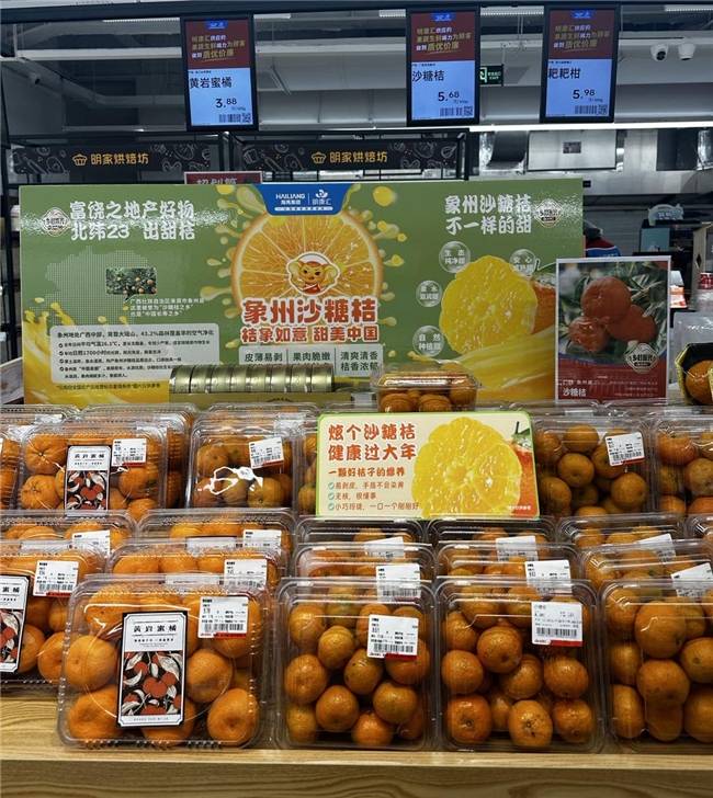 象州沙糖桔在长三角火热上市_明康汇_仓储_消费者
