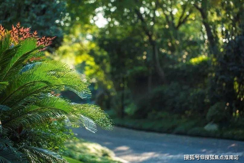 紫都上海晶園(上海松江)樓盤詳情-紫都上海晶園房價