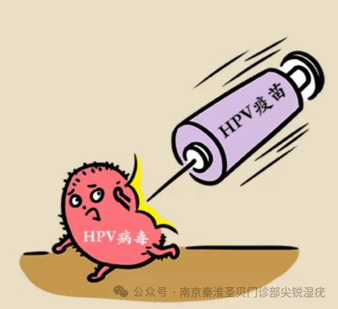 打過hpv疫苗後還會感染尖銳溼疣嗎_治療_病毒_手術