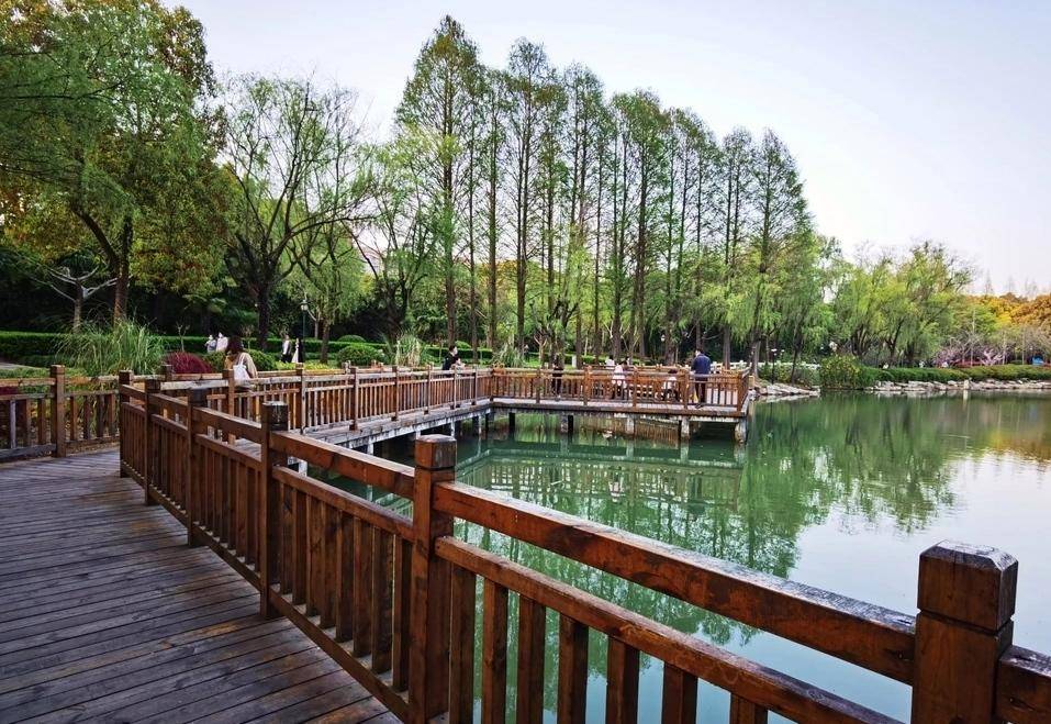 上海浦东金桥公园青山绿水_运动_人们_休闲