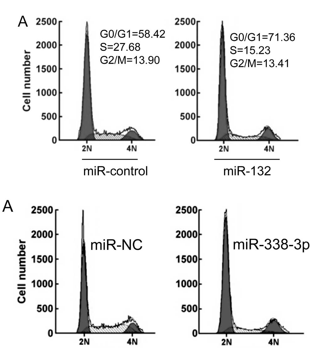 吉林大學中日聯誼醫院馬慶傑被撤稿_as_journal_cell