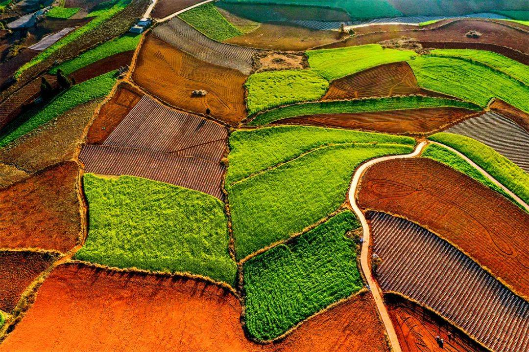 大地的调色板—云南东川红土地,2024年行摄攻略!_摄影_画面_色彩