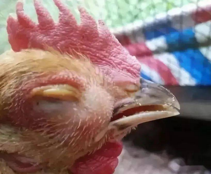 该怎么办?_进行_治疗_症状