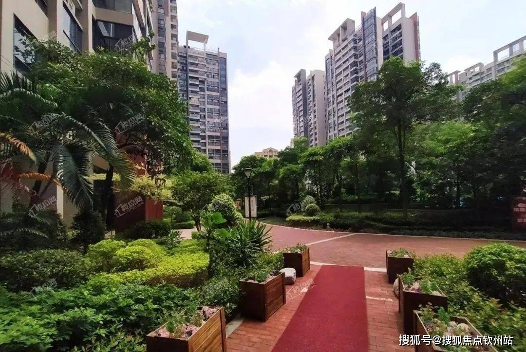 粤中幼儿园等多个选择,中小学则有石岐张溪郑二小学,中山市北区中学