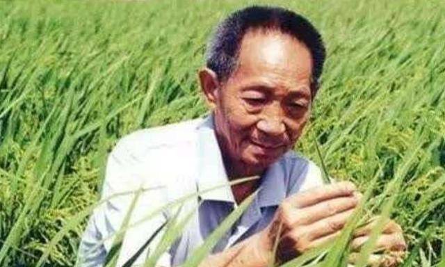 袁隆平与世长辞!