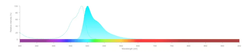 圖譜:來源:陝西新研博美生物科技有限公司syto 9 green fluorescent