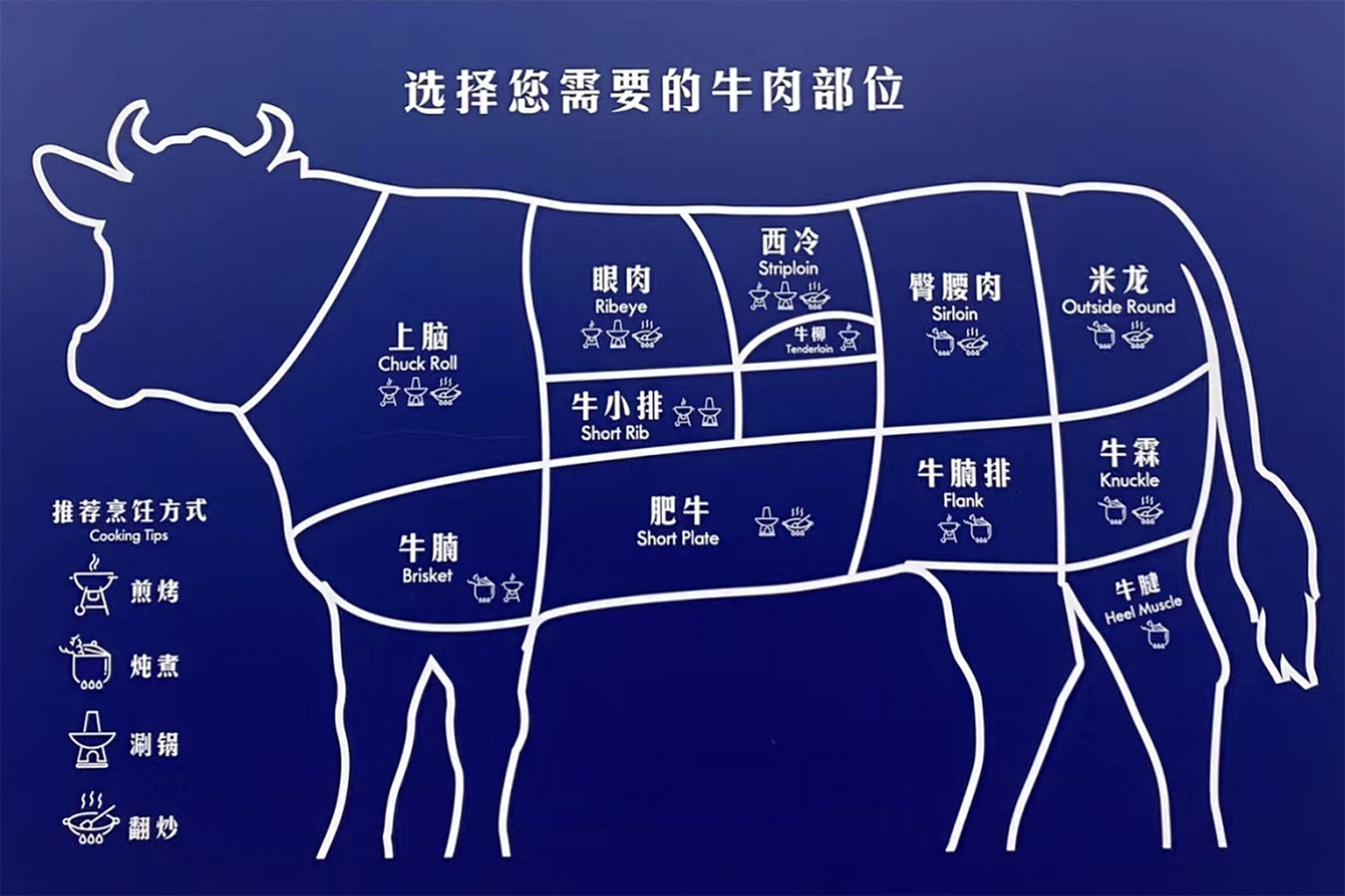 牛肉名称部位对应图图片