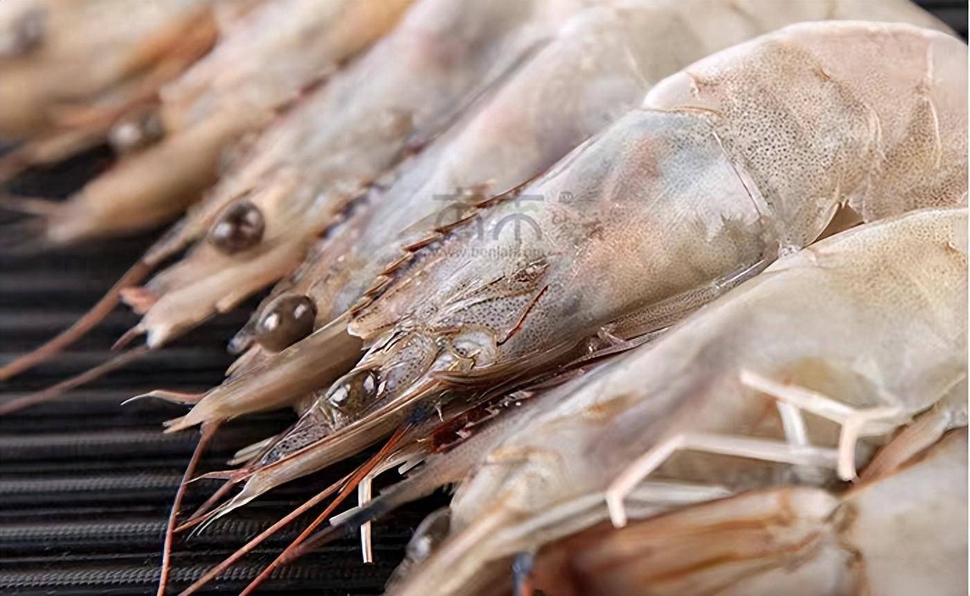 中国需求下降,白虾市场面临寒冬作为世界上最大的海鲜