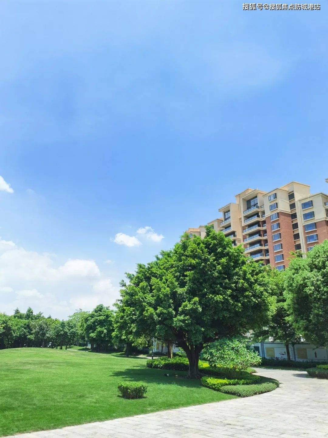 中小学:广东仲元中学附属学校,洛溪新城小学 共有小学13所.