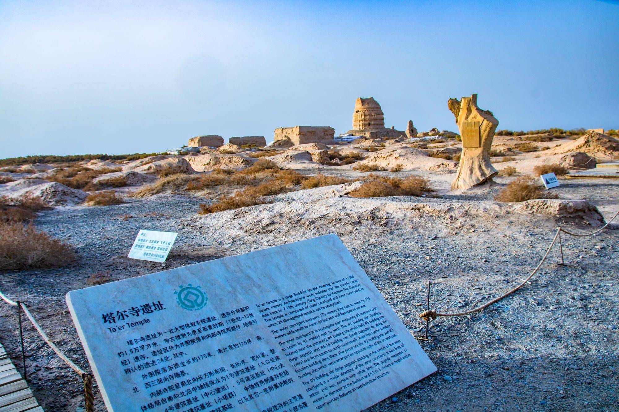 锁阳城遗址简介图片