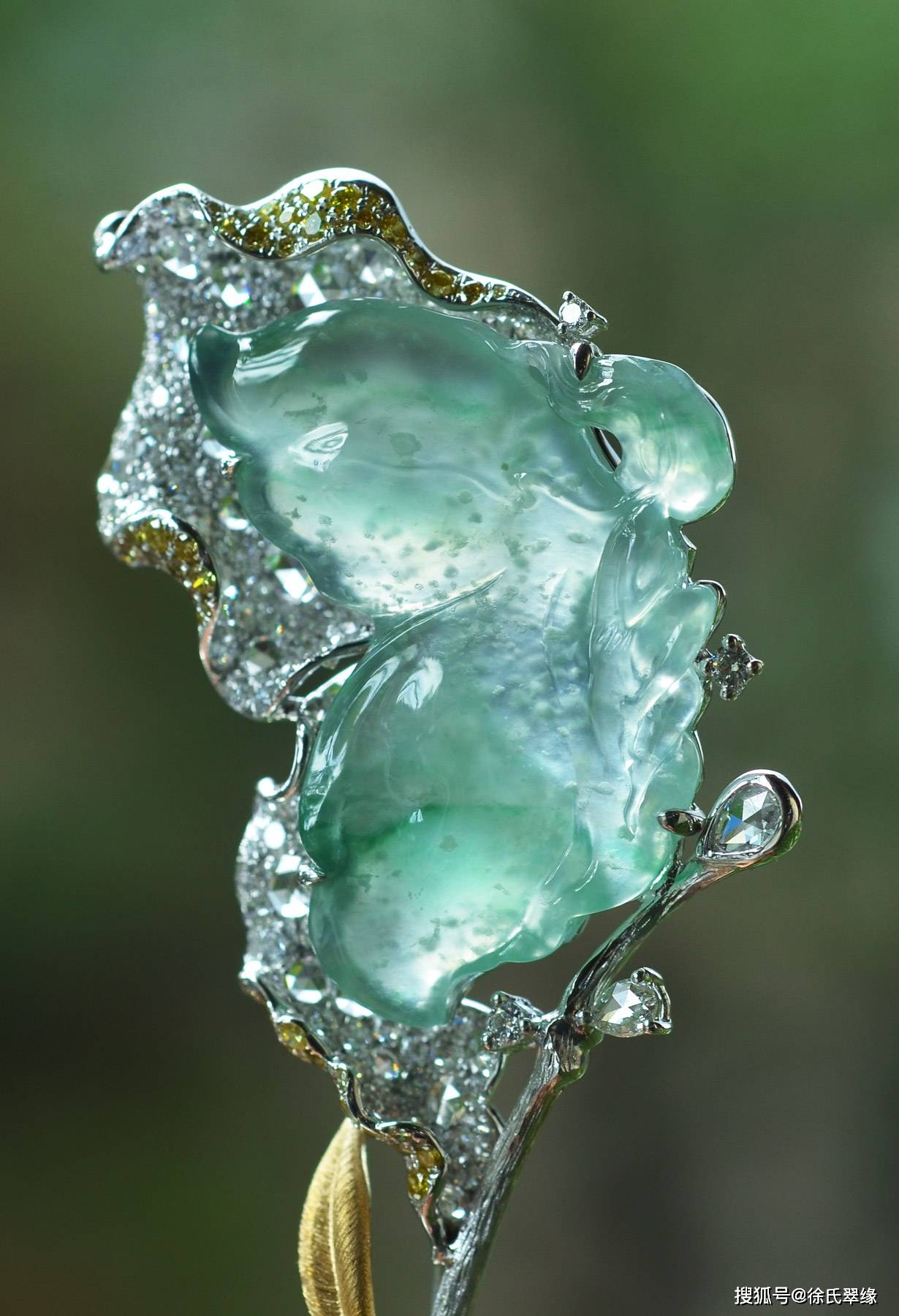 新作【蝴蝶仙子】· 以自由,梦幻姿态享受生活,拥抱美好_翡翠_枝叶