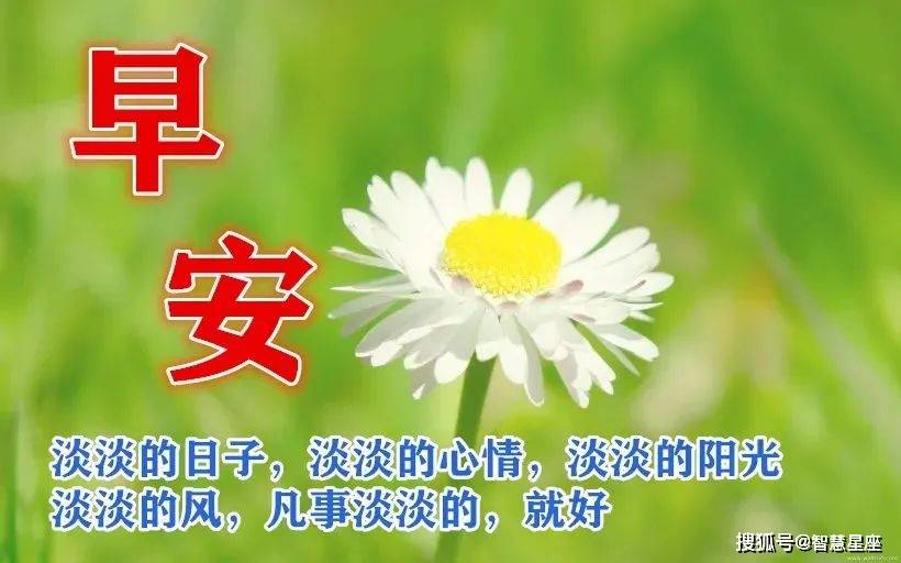 腊月初七大家早上好动态图片表情精选,早上好祝福问候语