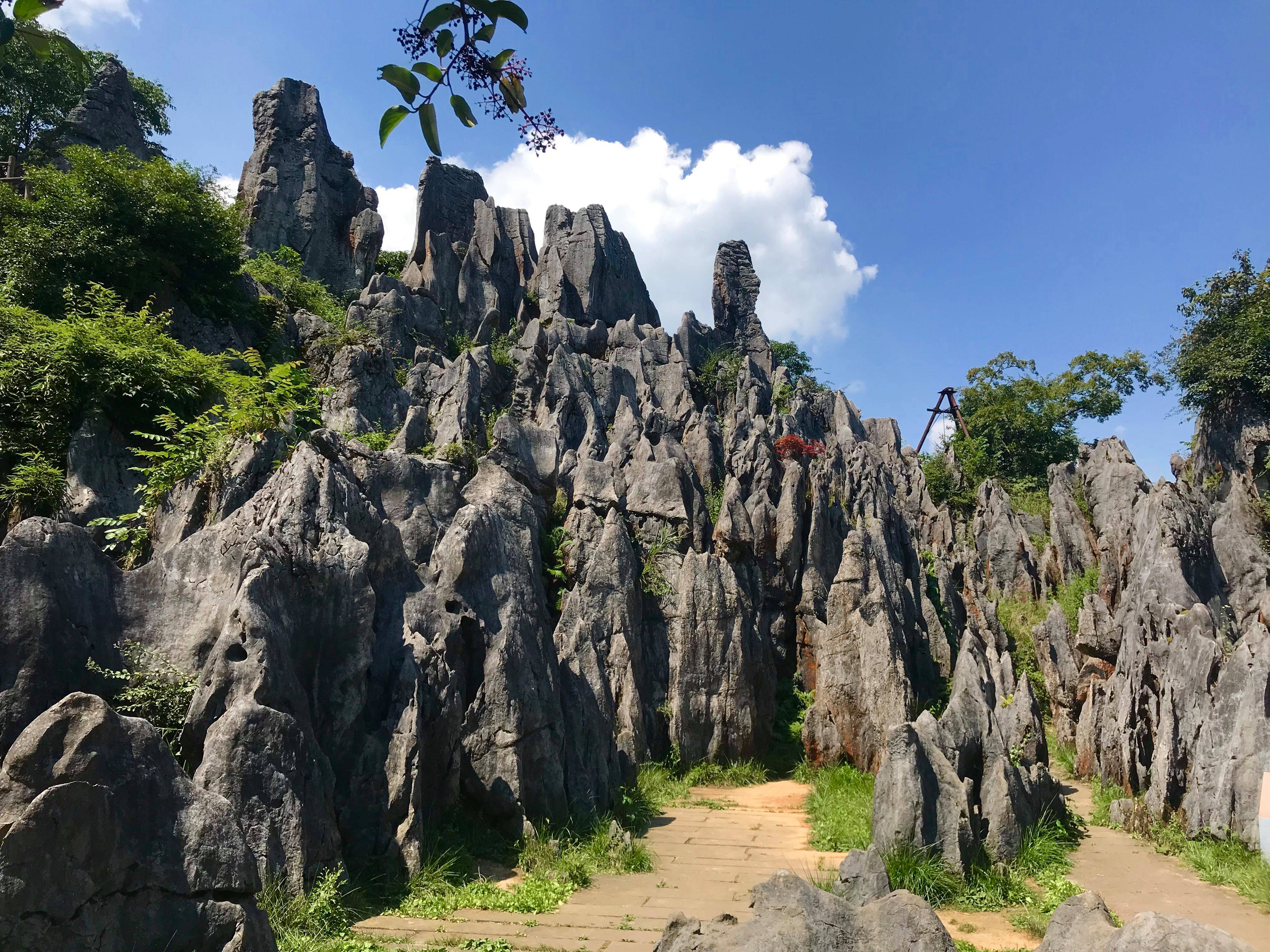 四川一座有望升为5a景区的山,是中国海拔最高的山岳型石林